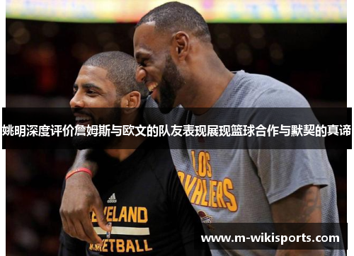 姚明深度评价詹姆斯与欧文的队友表现展现篮球合作与默契的真谛