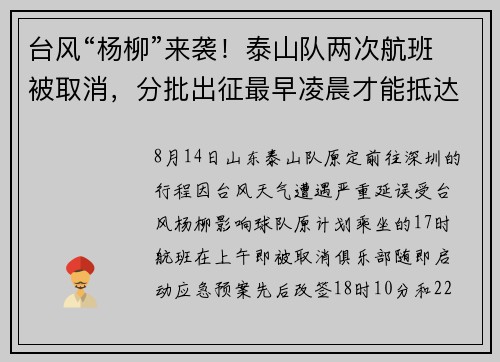 台风“杨柳”来袭！泰山队两次航班被取消，分批出征最早凌晨才能抵达